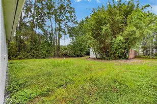 27526 Green Willow Run, Wesley Chapel, FL 33544 - Photo 6