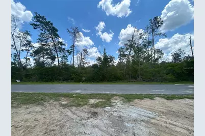 8191 N Feather Avenue, Citrus Springs, FL 34433 - Photo 2