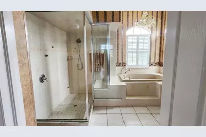 22523 Willow Lakes Drive, Lutz, FL 33549 - Photo 30