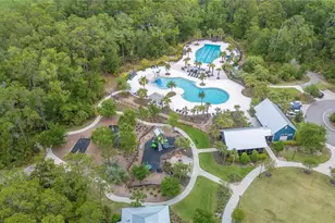 17616 Terrazzo Way, Land O Lakes, FL 34638 - Photo 44
