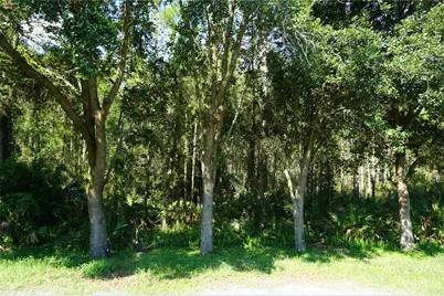 19131 Cypress Reach Lane, Tampa, FL 33647 - Photo 48