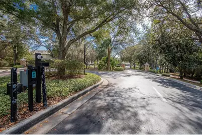 15965 Fishhawk View Drive, Lithia, FL 33547 - Photo 18