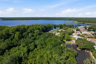 1339 Queen Anne Dr, Palm Harbor, FL 34684 - Photo 46