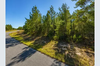 Alladin Drive, Chipley, FL 32428 - Photo 4
