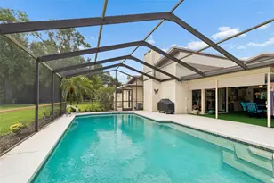 2364 Violet Pl, Palm Harbor, FL 34685 - Photo 34