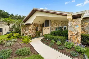 2364 Violet Pl, Palm Harbor, FL 34685 - Photo 4