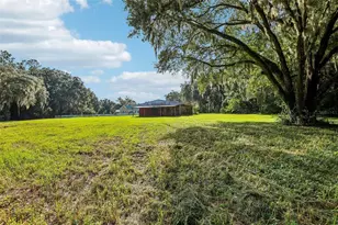 34951 Easterling Rd, Dade City, FL 33525 - Photo 78