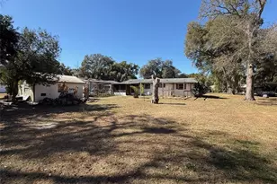 4404 Areca Palm Dr, Zephyrhills, FL 33541 - Photo 4