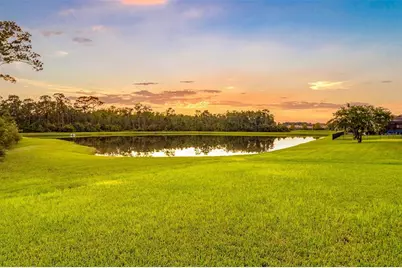 3099 Barbour Trail, Odessa, FL 33556 - Photo 50