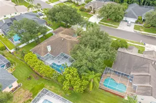 5501 Stag Thicket Ln, Palm Harbor, FL 34685 - Photo 52