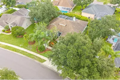 5501 Stag Thicket Lane, Palm Harbor, FL 34685 - Photo 48