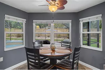 1706 Avoca Drive, Tarpon Springs, FL 34689 - Photo 26
