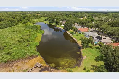 16416 Windsor Park Drive, Lutz, FL 33549 - Photo 68