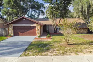 1010 Riflecrest Ave, Valrico, FL 33594 - Photo 1