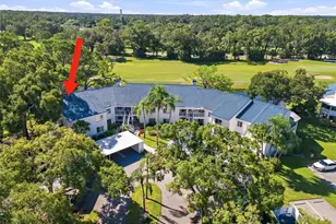 3587 Indigo Pond Dr, Palm Harbor, FL 34685 - Photo 24