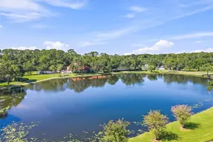 3587 Indigo Pond Dr, Palm Harbor, FL 34685 - Photo 32