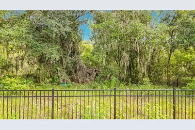 10623 Lithia Estates Drive, Lithia, FL 33547 - Photo 48