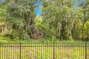 10623 Lithia Estates Dr, Lithia, FL 33547 - Photo 48