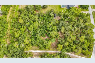 10623 Lithia Estates Drive, Lithia, FL 33547 - Photo 50