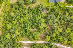 10623 Lithia Estates Dr, Lithia, FL 33547 - Photo 50