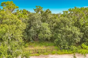 10623 Lithia Estates Dr, Lithia, FL 33547 - Photo 46