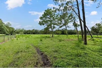 6930 Muck Pond Road, Seffner, FL 33584 - Photo 4