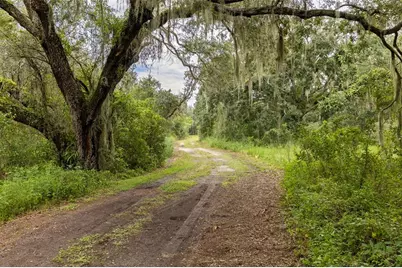 6930 Muck Pond Road, Seffner, FL 33584 - Photo 8