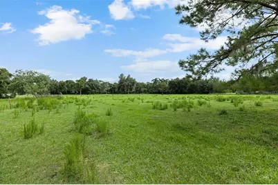 6930 Muck Pond Road, Seffner, FL 33584 - Photo 2