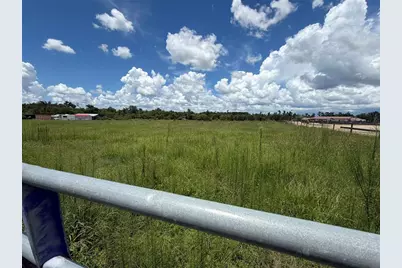 14182 Haynes Road, Dover, FL 33527 - Photo 1