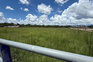 14182 Haynes Rd, Dover, FL 33527 - Photo 1