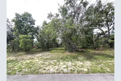 13106 Scottville Street, Spring Hill, FL 34609 - Photo 4