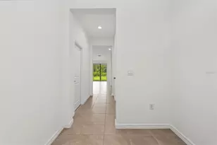 32612 Turtle Grace Loop, Wesley Chapel, FL 33545 - Photo 8