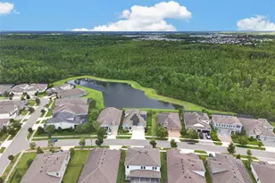 4282 Amped Wy, Land O Lakes, FL 34638 - Photo 82