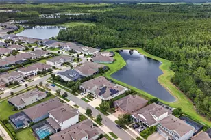 4282 Amped Wy, Land O Lakes, FL 34638 - Photo 84
