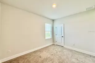 11393 Hardwood Hammock Ln, Riverview, FL 33569 - Photo 46
