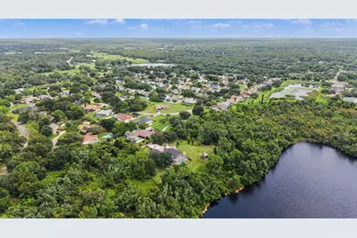 15532 Lake Grace Drive, Odessa, FL 33556 - Photo 62