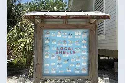 9 Haig Place #810, Dunedin, FL 34698 - Photo 52