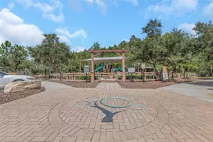 32475 Natural Bridge Rd, Wesley Chapel, FL 33543 - Photo 64