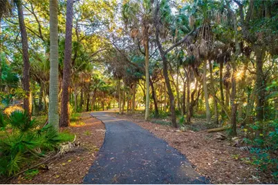 650 Timber Bay Circle W, Oldsmar, FL 34677 - Photo 42