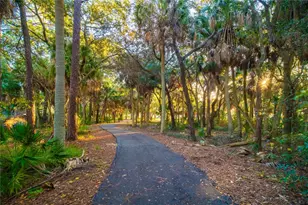 650 Timber Bay Cir W, Oldsmar, FL 34677 - Photo 42