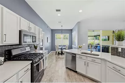 29609 Eagle Station Drive, Wesley Chapel, FL 33543 - Photo 4