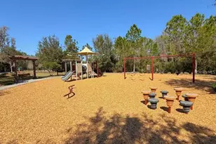 4599 Almada Ln, Wesley Chapel, FL 33543 - Photo 40