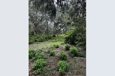 12321 Eden Avenue, Hudson, FL 34667 - Photo 46
