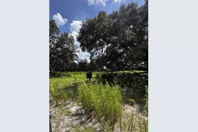 12321 Eden Avenue, Hudson, FL 34667 - Photo 42