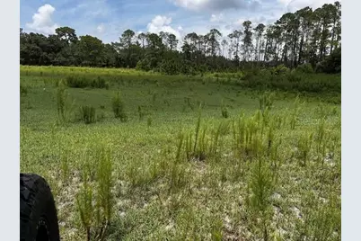 12321 Eden Avenue, Hudson, FL 34667 - Photo 26