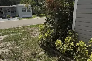 2346 Druid St, Clearwater, FL 33764 - Photo 12
