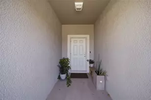 4459 Globe Thistle Dr, Tampa, FL 33619 - Photo 36