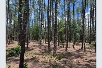 18517 Livingston Avenue, Lutz, FL 33559 - Photo 1