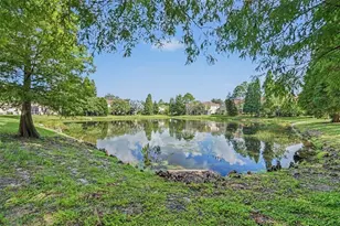 10536 Shady Falls Ct, Riverview, FL 33578 - Photo 28