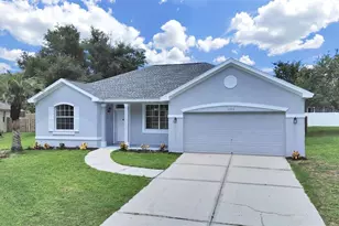 3313 Michener Pl, Plant City, FL 33566 - Photo 1